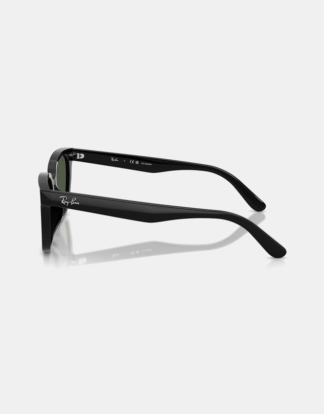 Ray-Ban - 0RB2243D
