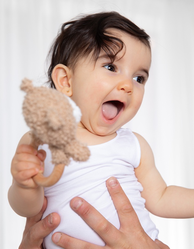 Living Textiles - Ring Rattle & Dummy Chain Gift Set - Cuddly Bear