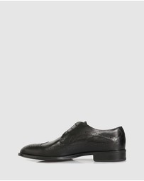 Brando - Delroy Brogues And oxford