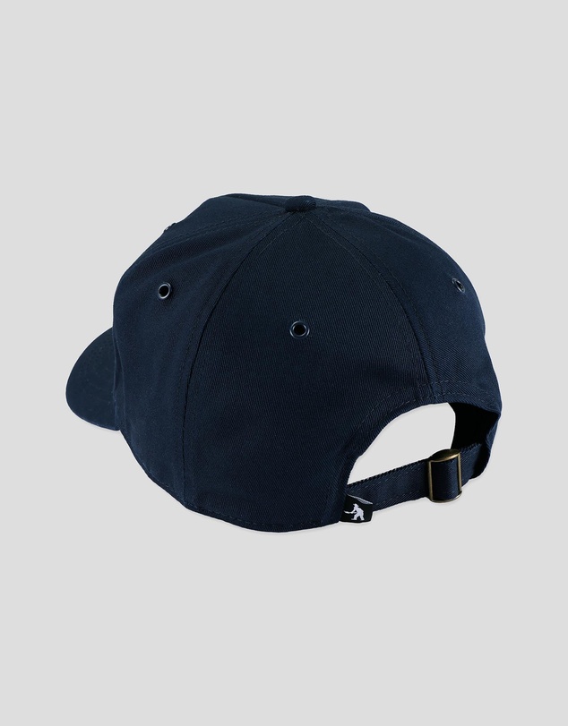 PASS~PORT - Rough Neg Packers Cap