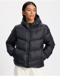 Patagonia - Sindit Hoodie Jacket