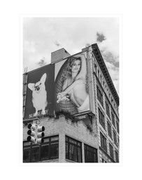 Amichi Co - Dynamic Duo Fine Art Print