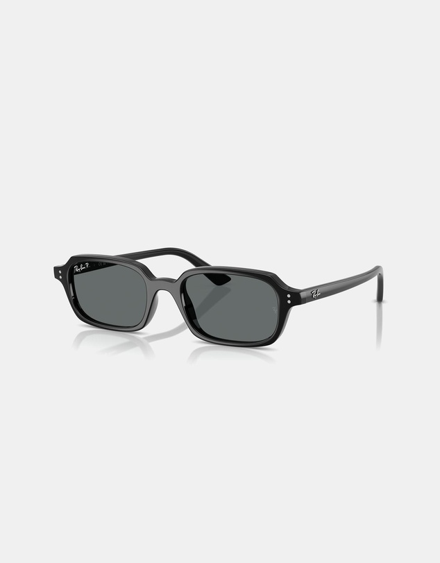 Ray-Ban - RB4455