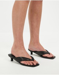 Sol Sana - Sir Heels