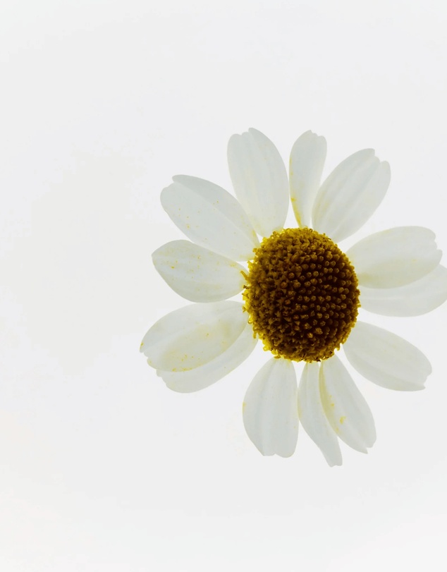 The Body Shop - Camomile Cleansing Butter 90ml