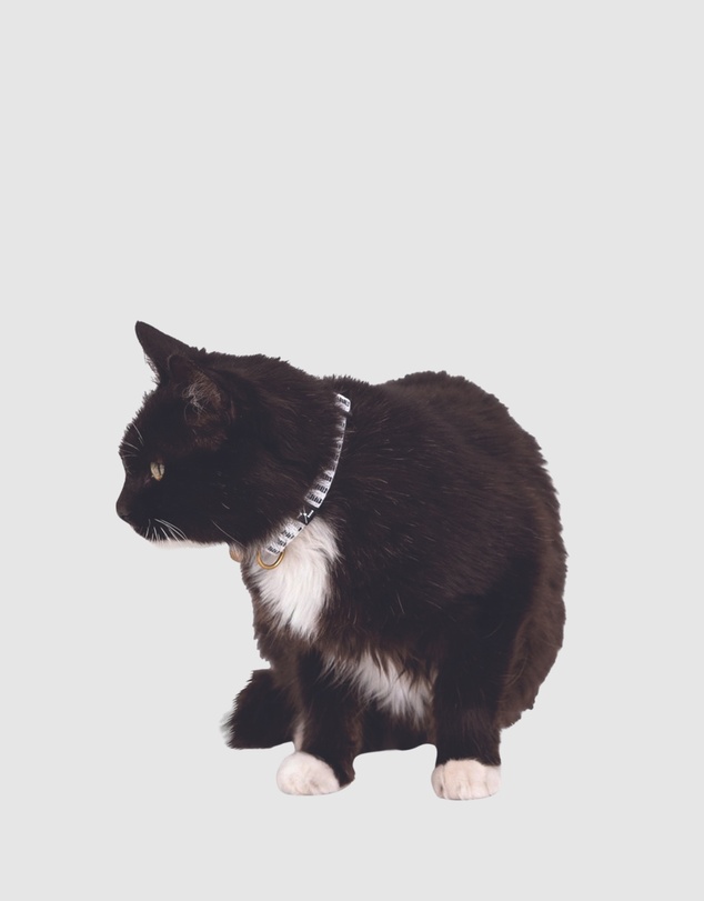 Mog & Bone - Hemp Cat collar - Black Mosaic Print