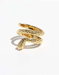 Jackie Mack - Wisdom Spiral Ring