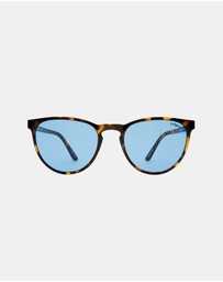 Le Specs - Invincible