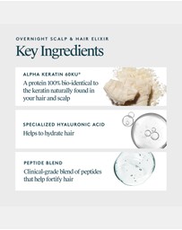 Virtue Labs - Overnight Scalp Hair Elixir
