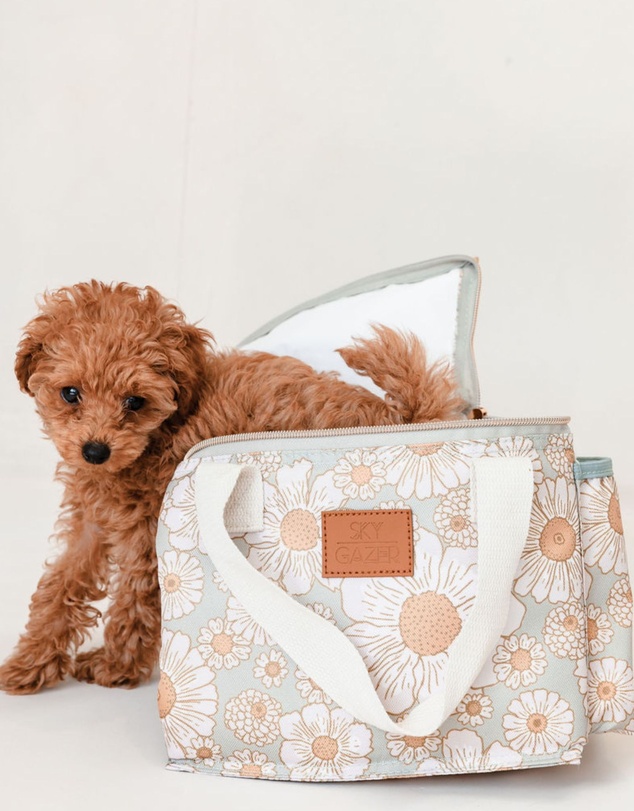 Sky Gazer - Insulated Lunch Bag- Casuarina