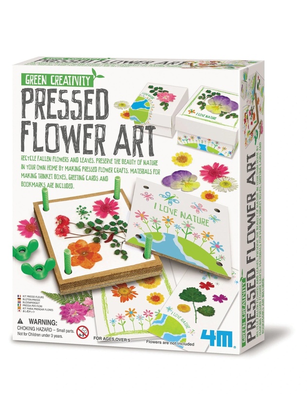 4M - Green Science Pressed Flower Art