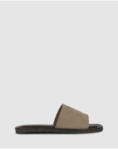 Kaki 1517