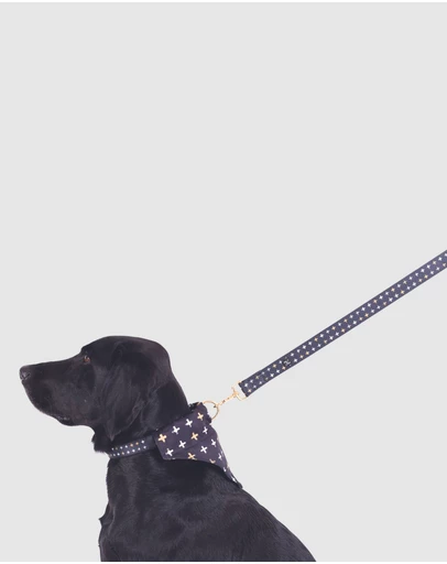 Mog & Bone - Neoprene Lead - Black Metallic Cross Print
