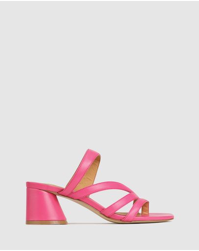 Fuschsia