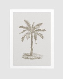 Olive et Oriel - Vintage Palm II Art Print