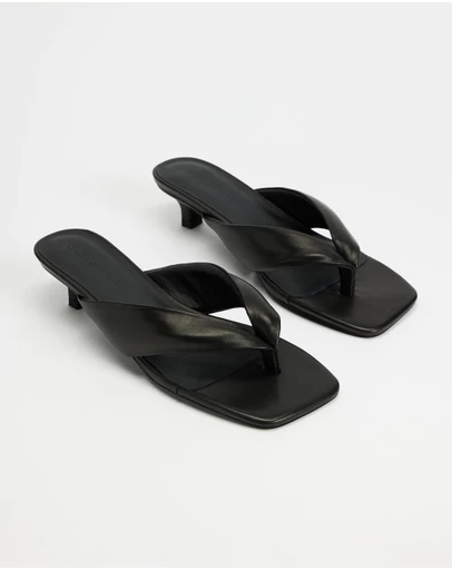 Sol Sana - Sir Heels