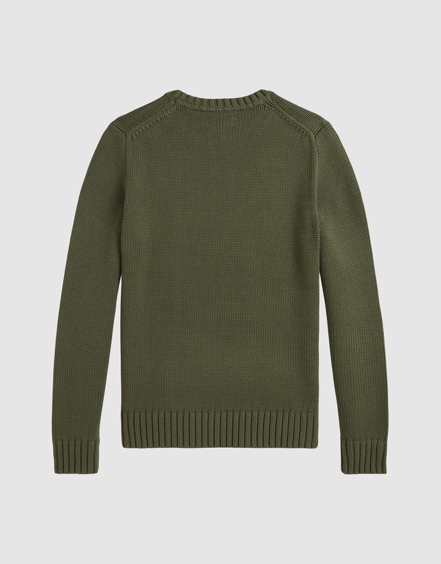 Polo Ralph Lauren - Cotton Crewneck Sweater - ICONIC EXCLUSIVE - Teens