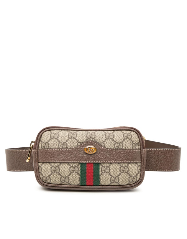 Pre-Loved by Azura Reborn - Pre-Loved Small GG Supreme Web Ophidia Belt Bag