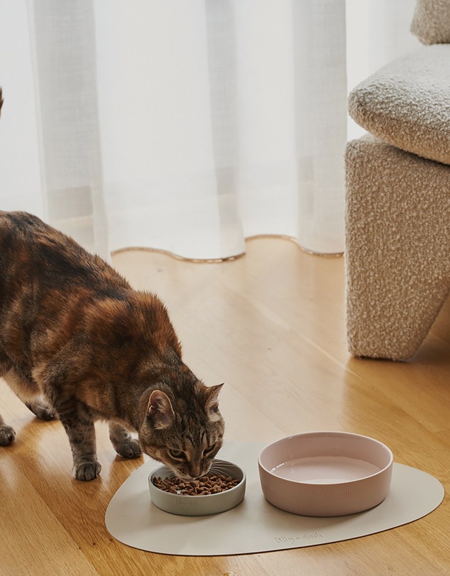 Lilly + Dash - Adjustable Fit Cat Collar