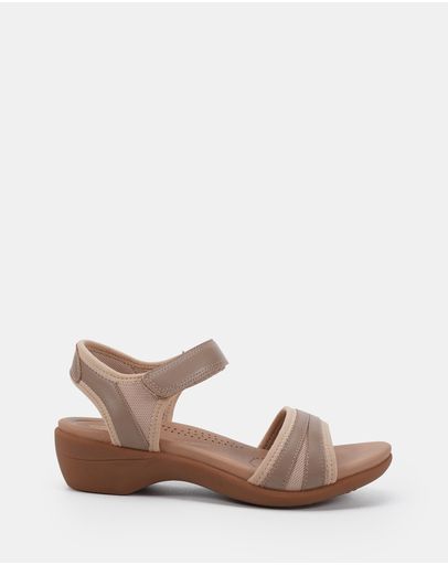 Taupe