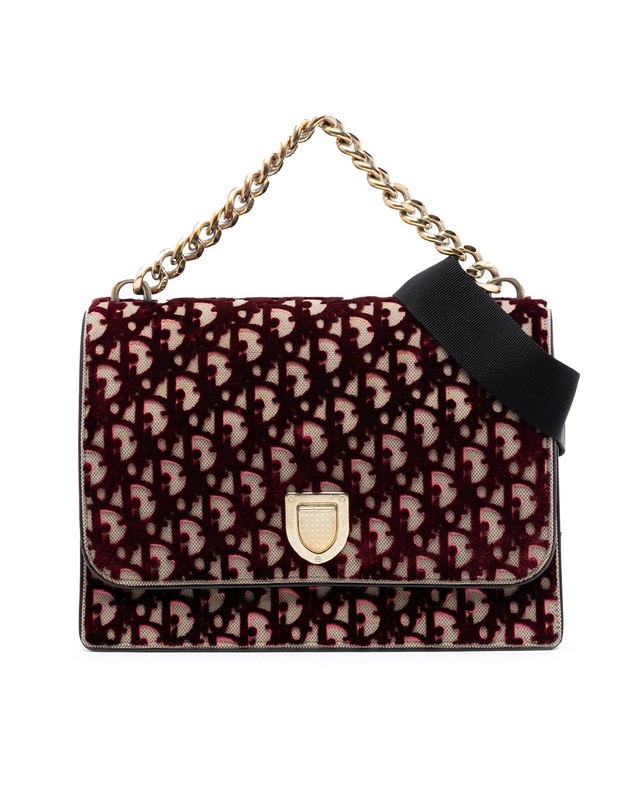Pre-Loved by Azura Reborn - Pre-Loved Large Oblique Canvas and Velvet Diorama Flap
