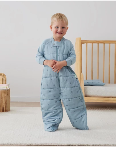 ergoPouch - Sleep Suit Bag 2.5 TOG
