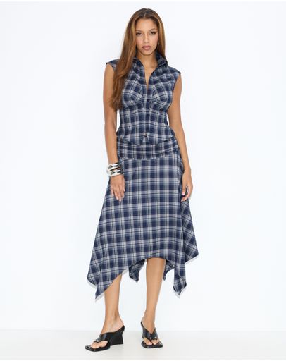 Navy Check