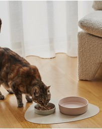 Lilly + Dash - Cat Eat and Drink Set – 2 Bowls + Lick Insert + Wave Placemat