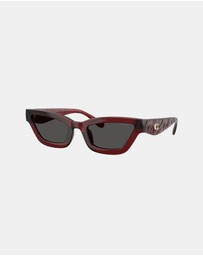 Coach - HC8420U