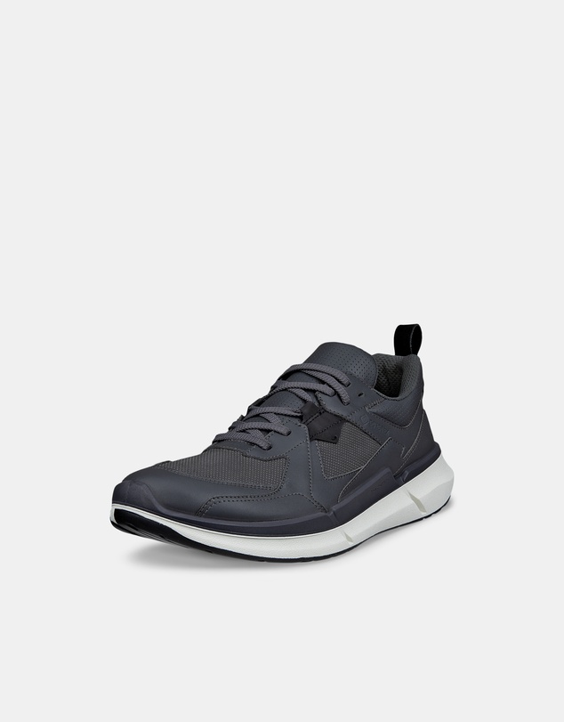 ECCO - ECCO Biom 2.2