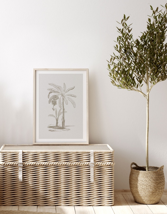 Olive et Oriel - Vintage Palm I Art Print