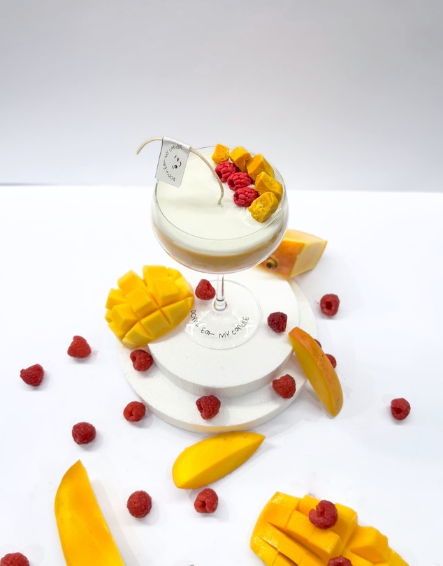 Don't Eat My Candle - Raspberry Mango Martini Cocktail Candle - Triple Pour (310g)