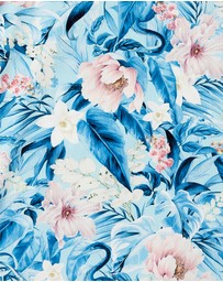 Aqua Blu Kids - Everglade Jammers - Kids