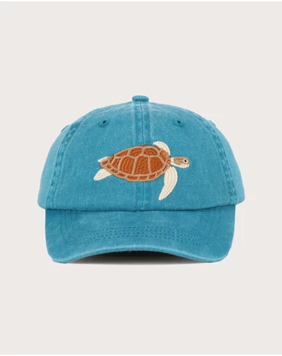 Pallion Point - Kids Turtle Fish Lid
