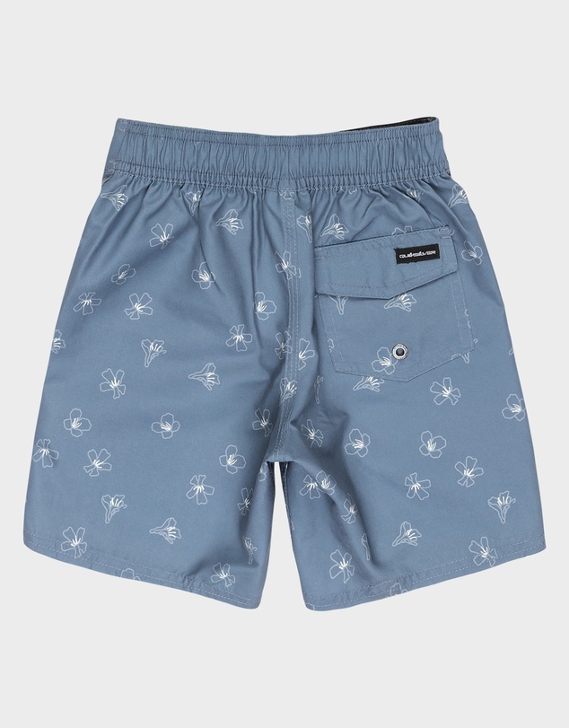 Quiksilver - Boys 8 to 16 Everyday 13