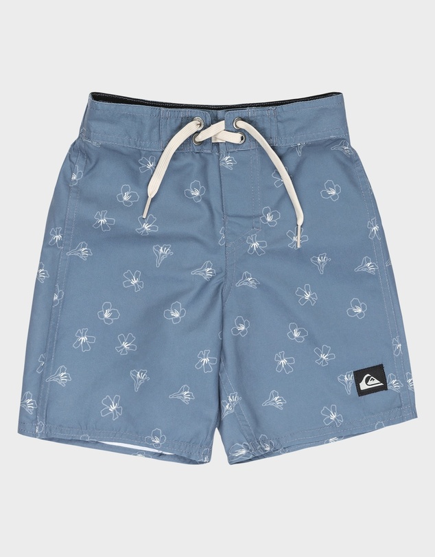 Quiksilver - Boys 8 to 16 Everyday 13