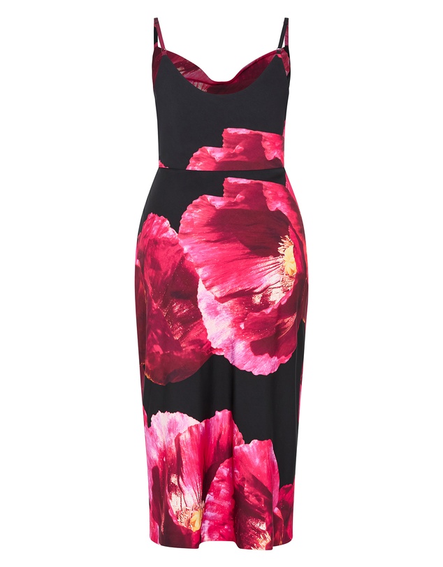 City Chic - Mariana Print Dress