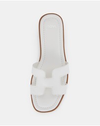 Novo - Sachie Slides