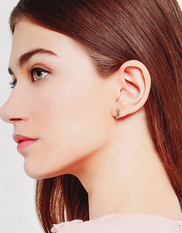 ALDO - Lionade Earrings