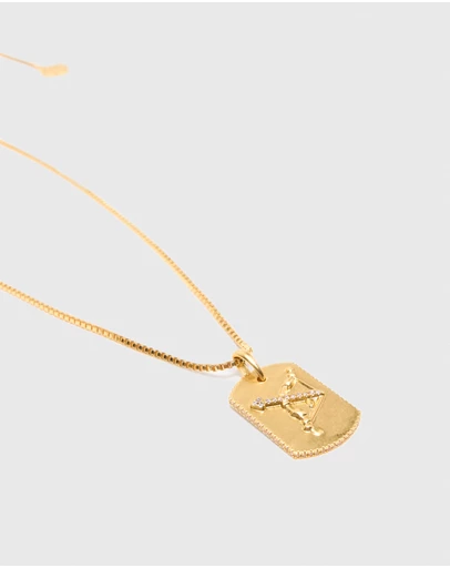 Maje - Astro Plaque Necklace