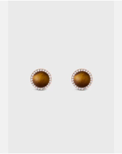 Daniel Wellington - Audrey Earrings Tiger Eye