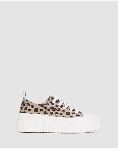 Cheetah