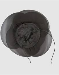 Max Alexander - Black Flower Racing Fascinator