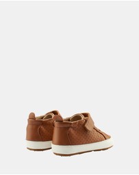 Old Soles - Cheer Bambini