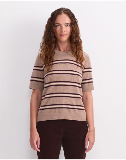 camel/multi
