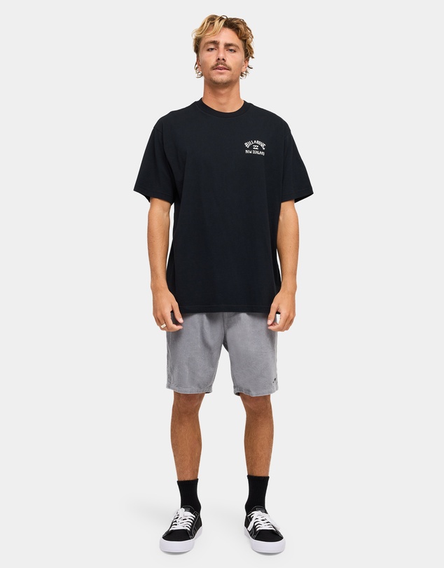 Billabong - Mens Fern Island T-Shirt