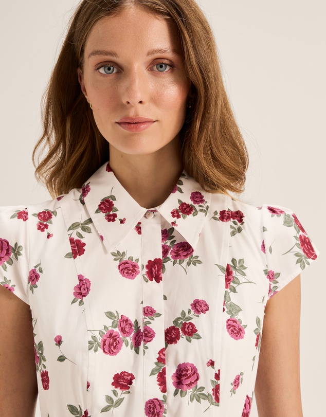 Review - Cameo Shirt Dress