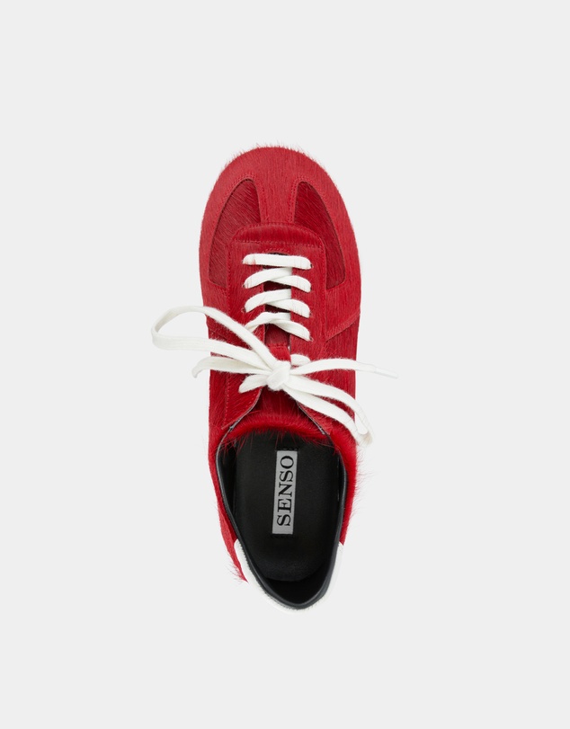 Senso - Ace II