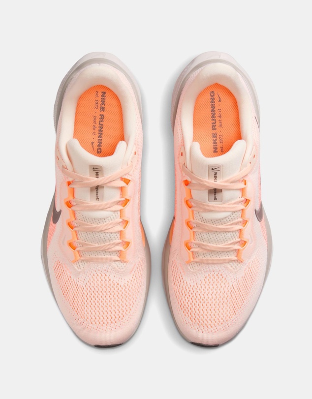 Nike - Pegasus 41 - Women's