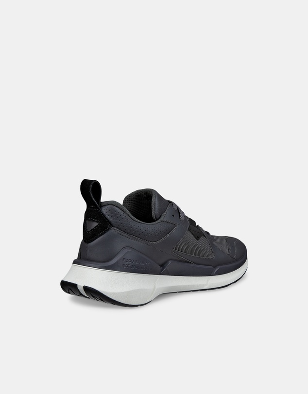 ECCO - ECCO Biom 2.2